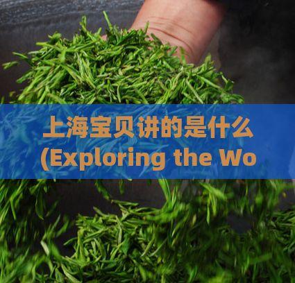 上海宝贝讲的是什么(Exploring the World of Shanghai Babies)