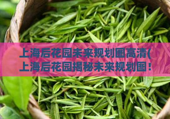 上海后花园未来规划图高清(上海后花园揭秘未来规划图!)