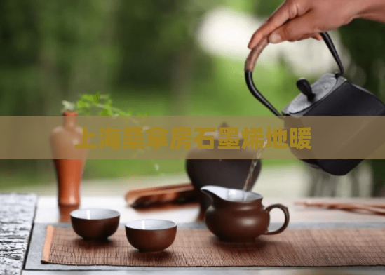 上海桑拿房石墨烯地暖