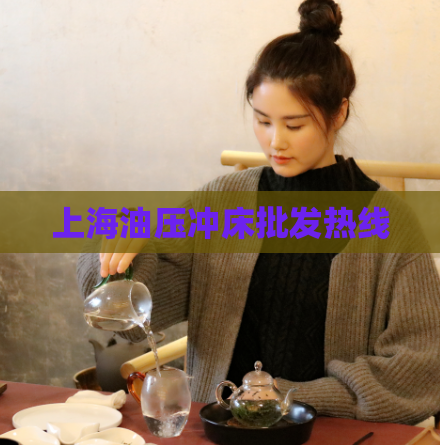 上海油压冲床批发热线