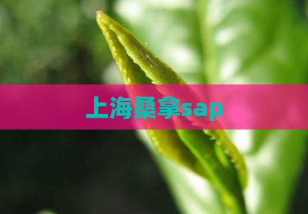上海桑拿sap