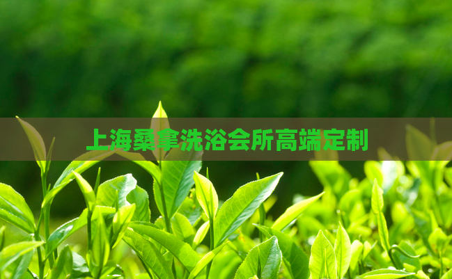 上海桑拿洗浴会所高端定制