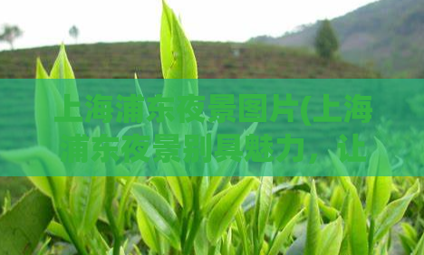 上海浦东夜景图片(上海浦东夜景别具魅力，让你惊叹的璀璨光芒)