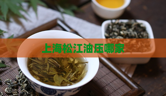 上海松江油压哪家