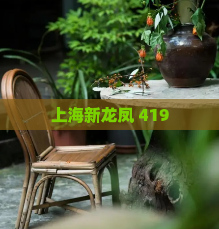 上海新龙凤 419