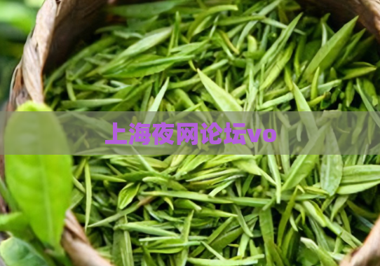 上海夜网论坛vo