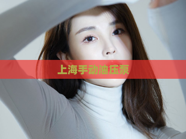 上海手动油压泵