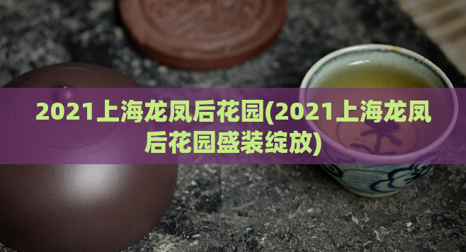2021上海龙凤后花园(2021上海龙凤后花园盛装绽放)