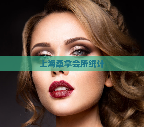 上海桑拿会所统计