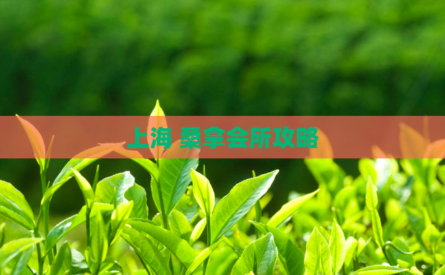 上海 桑拿会所攻略