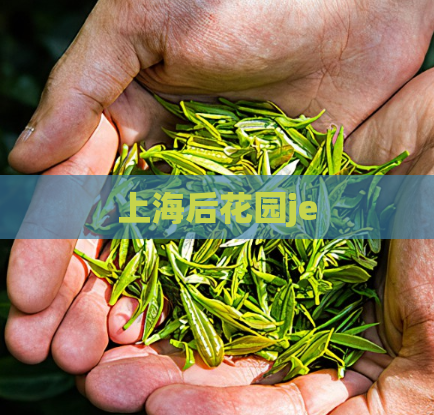 上海后花园je